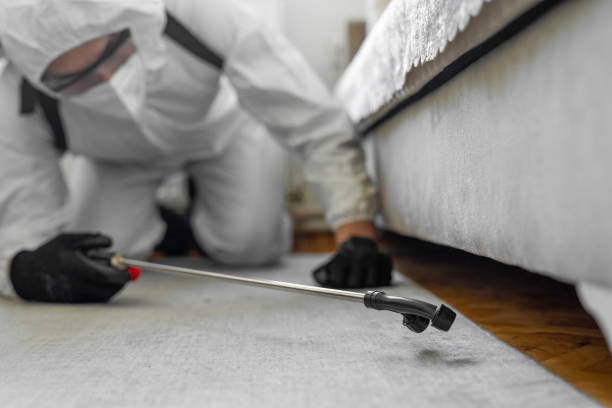 Professional Termite Control technician working in Brooklyn, WI