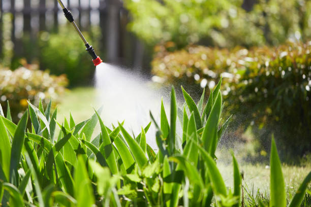 24/7 Emergency Termite Control experts in Brooklyn, WI